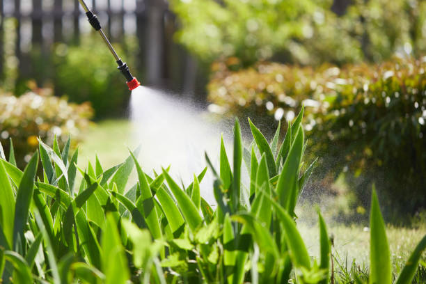 24/7 Emergency Mosquito Control experts in Garner, IA